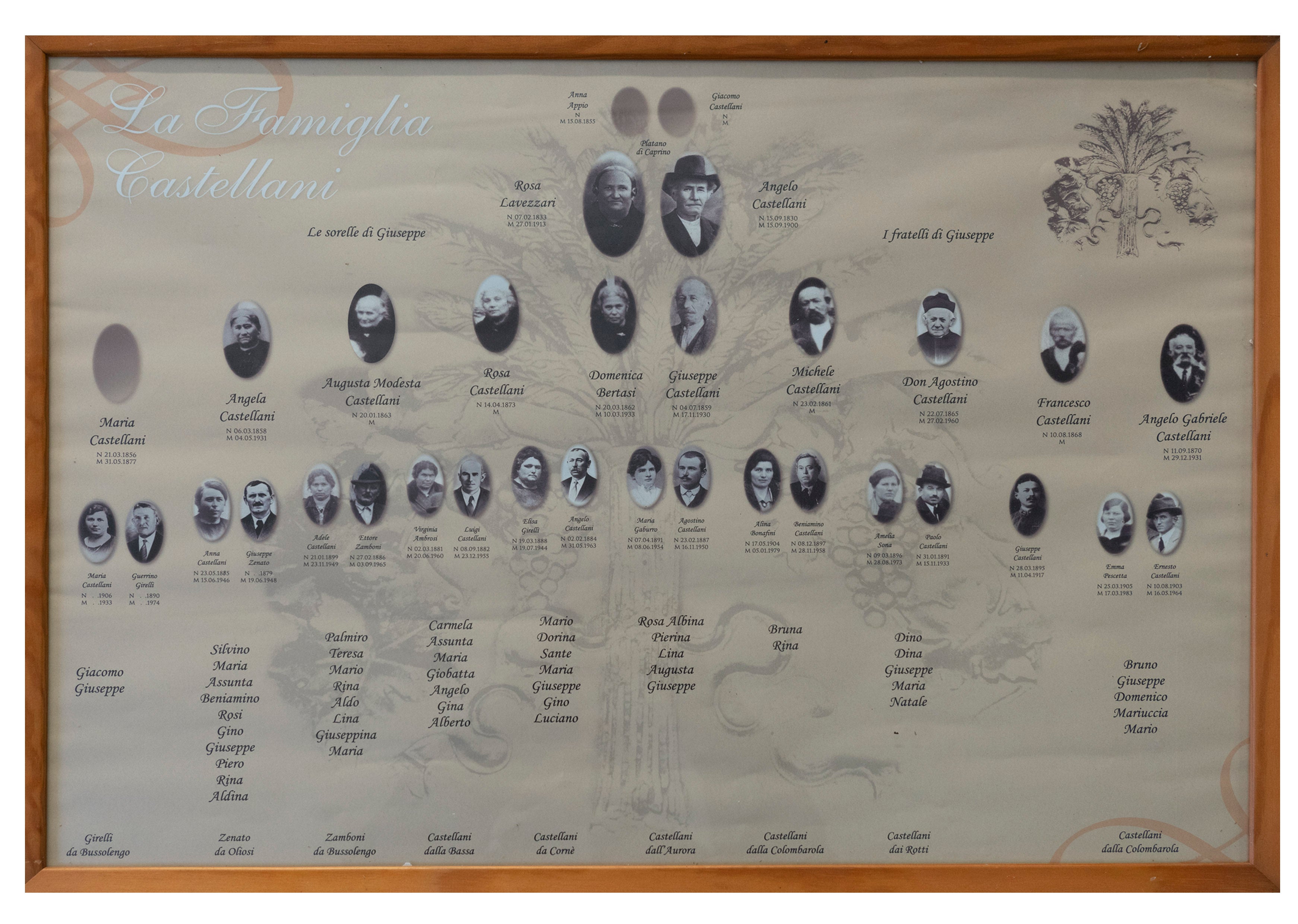 Castellani Family Tree – Four Generations of Winemaking