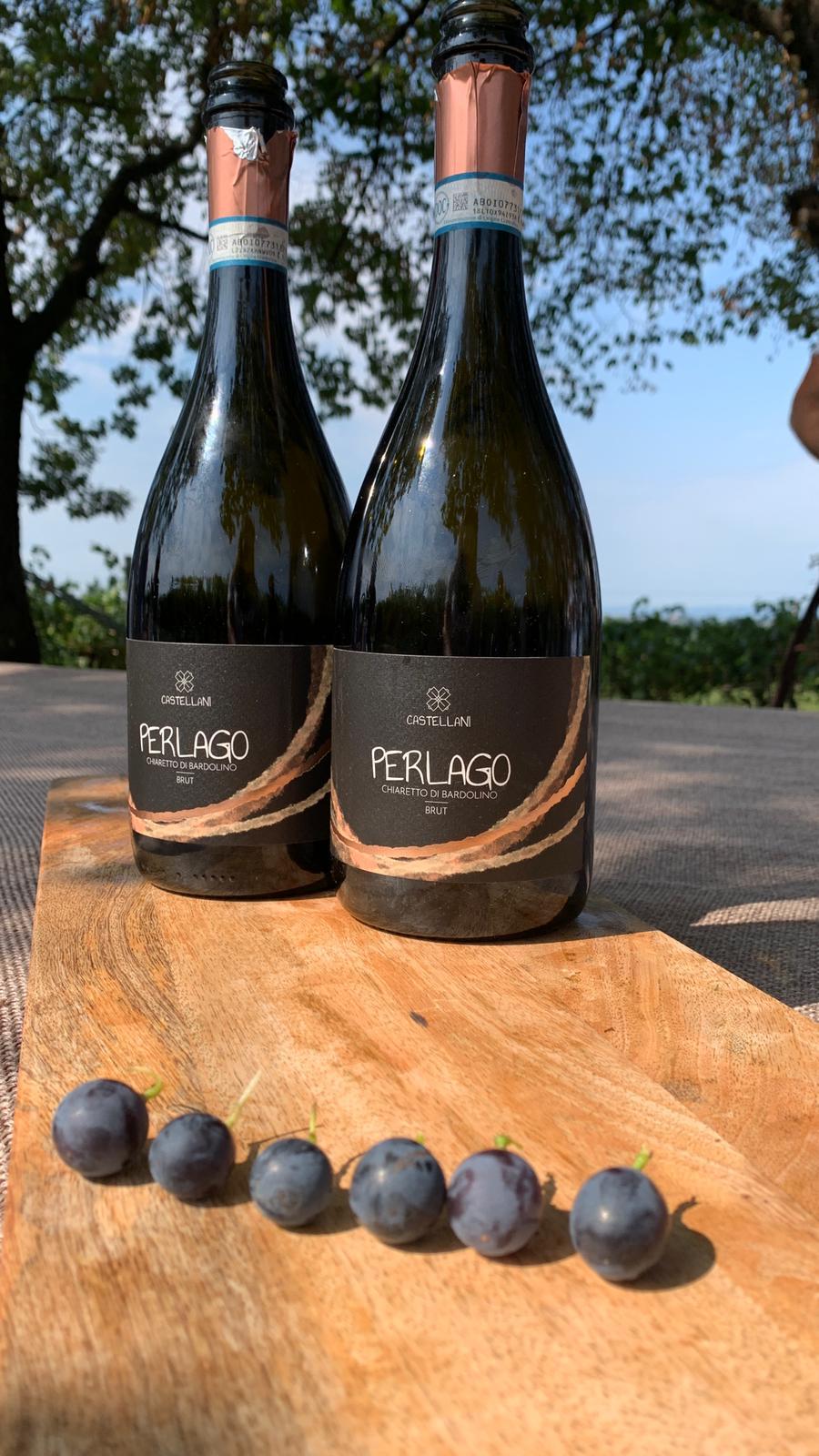Pergola-trained vines with native grape varieties at Agricola Castellani’s organic vineyard in Lake Garda